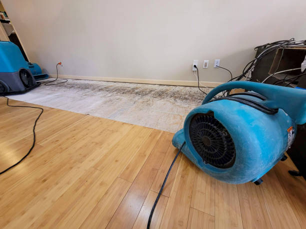 Professional Burst Pipe Water Damage technician working in Camano Island, WA